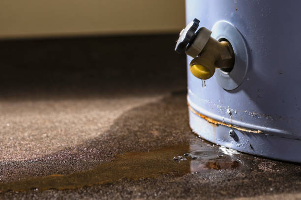 Best Local water damage restoration  in Fraser, MI