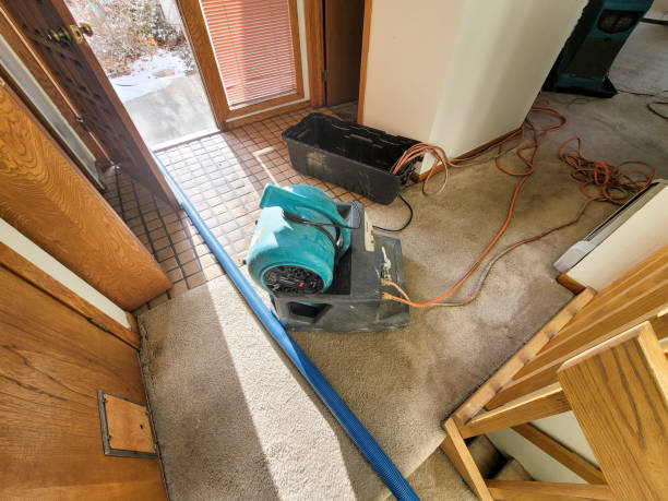 Carpet water damage restoration in MI